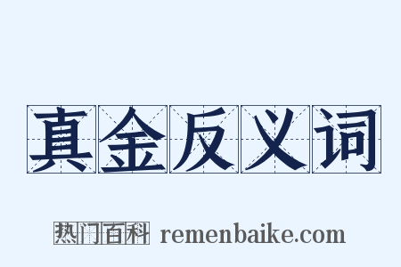 真金反义词是什么意思的图片